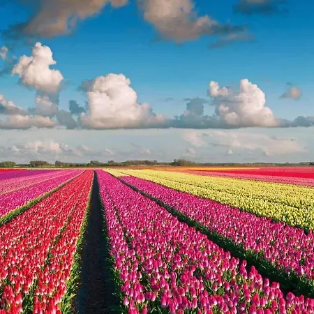 Дом отдыха Enjoyable